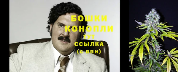 МДПВ Сосновка