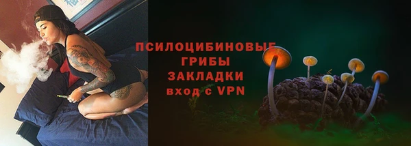 МДПВ Сосновка