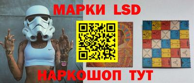 прущие грибы Комсомольск-на-Амуре