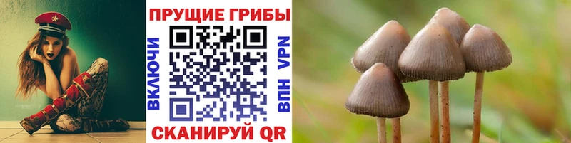 Галлюциногенные грибы ЛСД  Чапаевск 
