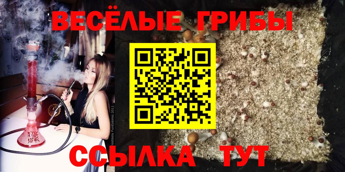 Псилоцибиновые грибы прущие грибы  Галлюциногенные грибы Magic Shrooms  Чапаевск  Вход с VPN 