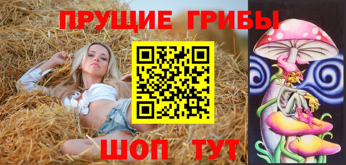 Галлюциногенные грибы Чапаевск